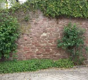 Stadtmauer