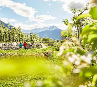 Wandern Parcines / Partschins
