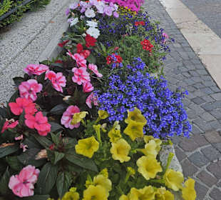 Altstadt 