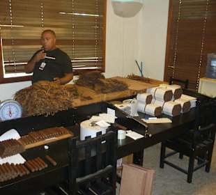 Andy Tour mit viel Vitamina und Spaß