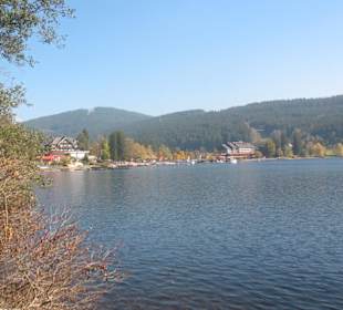 Titisee
