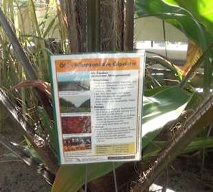 Botanischer Garten