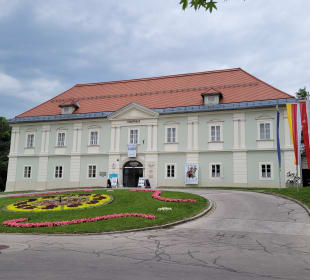 Stadthaus