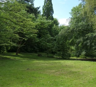 Unterwegs im Schlossgarten Cuxhaven-Ritzebüttel