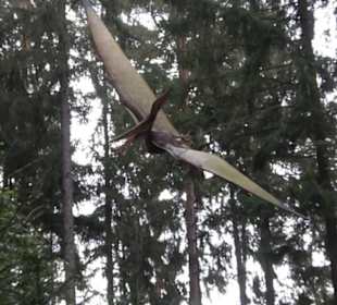 Dinosaurier Museum Altmühltal