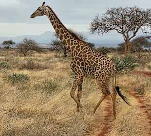 Da kreuzen sich die Wege 