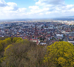 Blick auf Freiburg