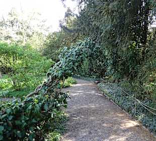 Sichtungsgarten Hermannshof