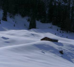 Der Winter zeigt sich von seiner schönsten Seite