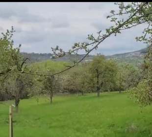 Wanderstrecke Mössinger Streuobstwegle
