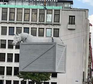 Ein Tag in Rotterdam 