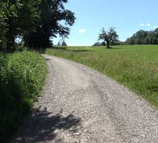 Eduard Lucas Musterobstgarten Mähringen