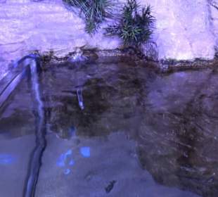 National Aquarium Malta