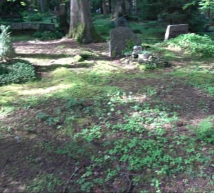Waldfriedhof Altensteig