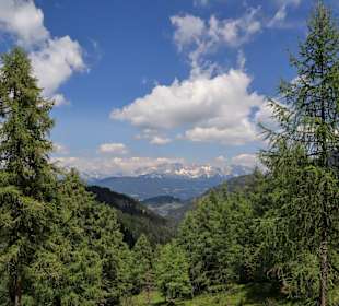 Wandern Flachau