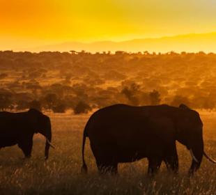 Taita Hills - Sonnenuntergang