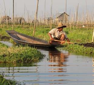 Arbeit in den schwimmenden Gärten