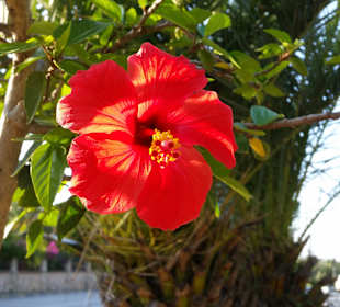 Stadtrundgang Evrenseki