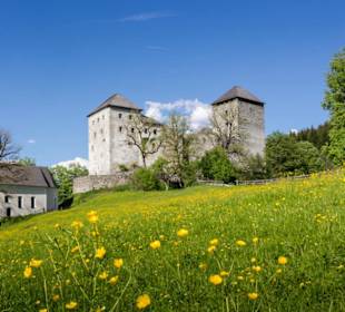 Burg Kaprun