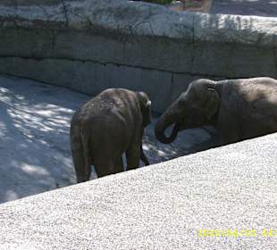 Tierpark Hagenbeck
