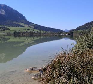 Walchsee