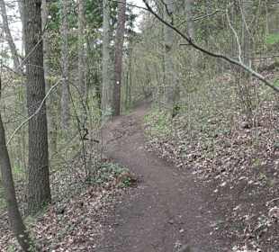 Wanderung rund um das Rusenschloss Gerhausen