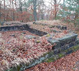 Burgruine Perlenberg in Bann