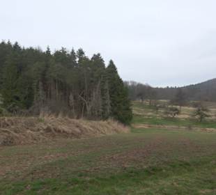 Unterjesinger Wengertwegle