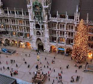 Vom "Alten Peter" aus gesehen