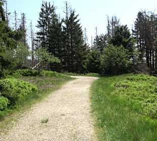 Wandergebiet Ruhestein