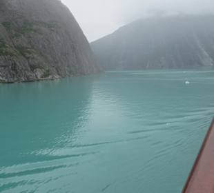 MS Zaandam befährt den Tracy Arm Fjord