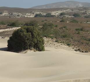 Deserto de Viana