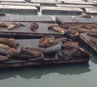 An den Piers, in Nähe des Hotels