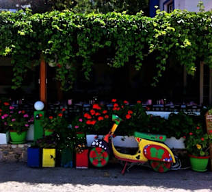 Geheimtipp - Taverne im Bergdorf Zia