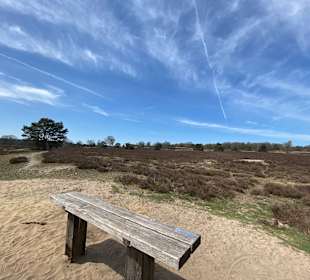 Nationaal Park De Hoge Veluwe