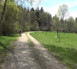 Strauchlehrpfad
