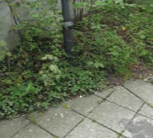 Pfarrkirche St. Andreas