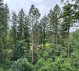 Baumwipfelpfad
