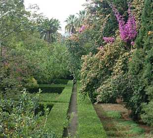 Jardines d`Alfabia
