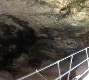 Ghar Dalam Cave & Museum