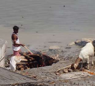 Publiczna kremacja z kozą 