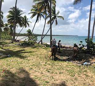 Eine Pause muß auch mal sein!