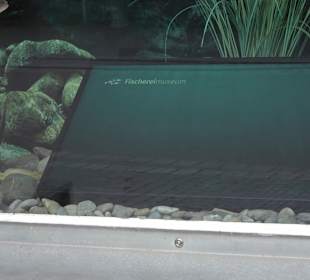 Fischereimuseum Langenargen
