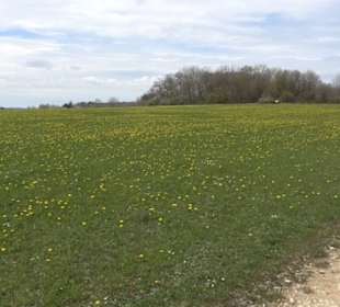 Heckenerlebnispfad Apfelstetten