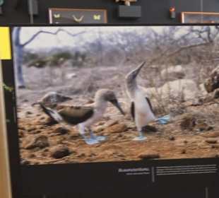 Museum für Ur- und Frühgeschichte