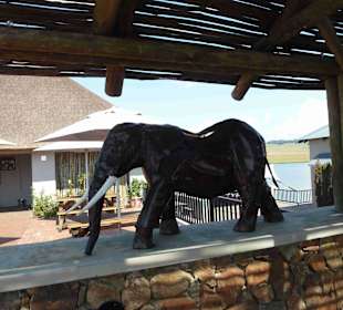 Krüger Nationalpark