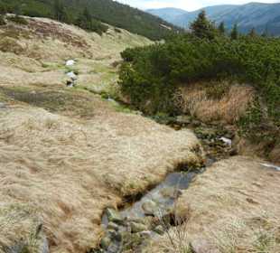 Karkonoski Park Narodowy