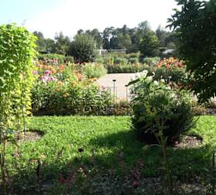 Botanischer Garten München