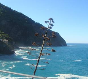 Der Liebesweg am Meer entlang