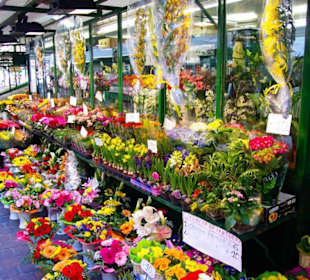 Bozen im Bild Eindrücke-Impressionen